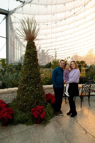 Succulent tree in the Mediterranean Biome